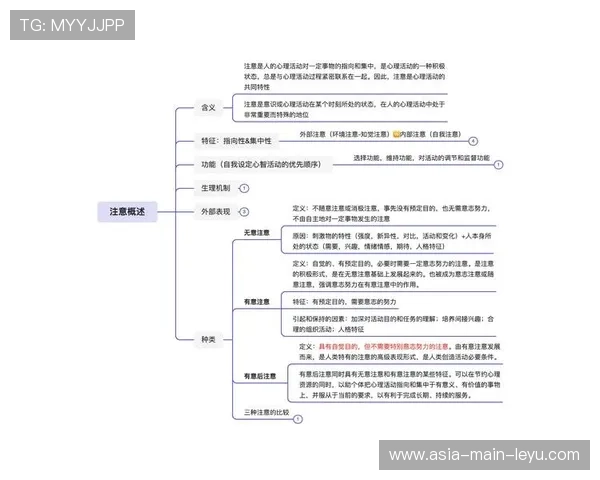 人才体系：职业化教练与运动心理师在队伍建设中的作用，教练员必备的运动心理学实践指南